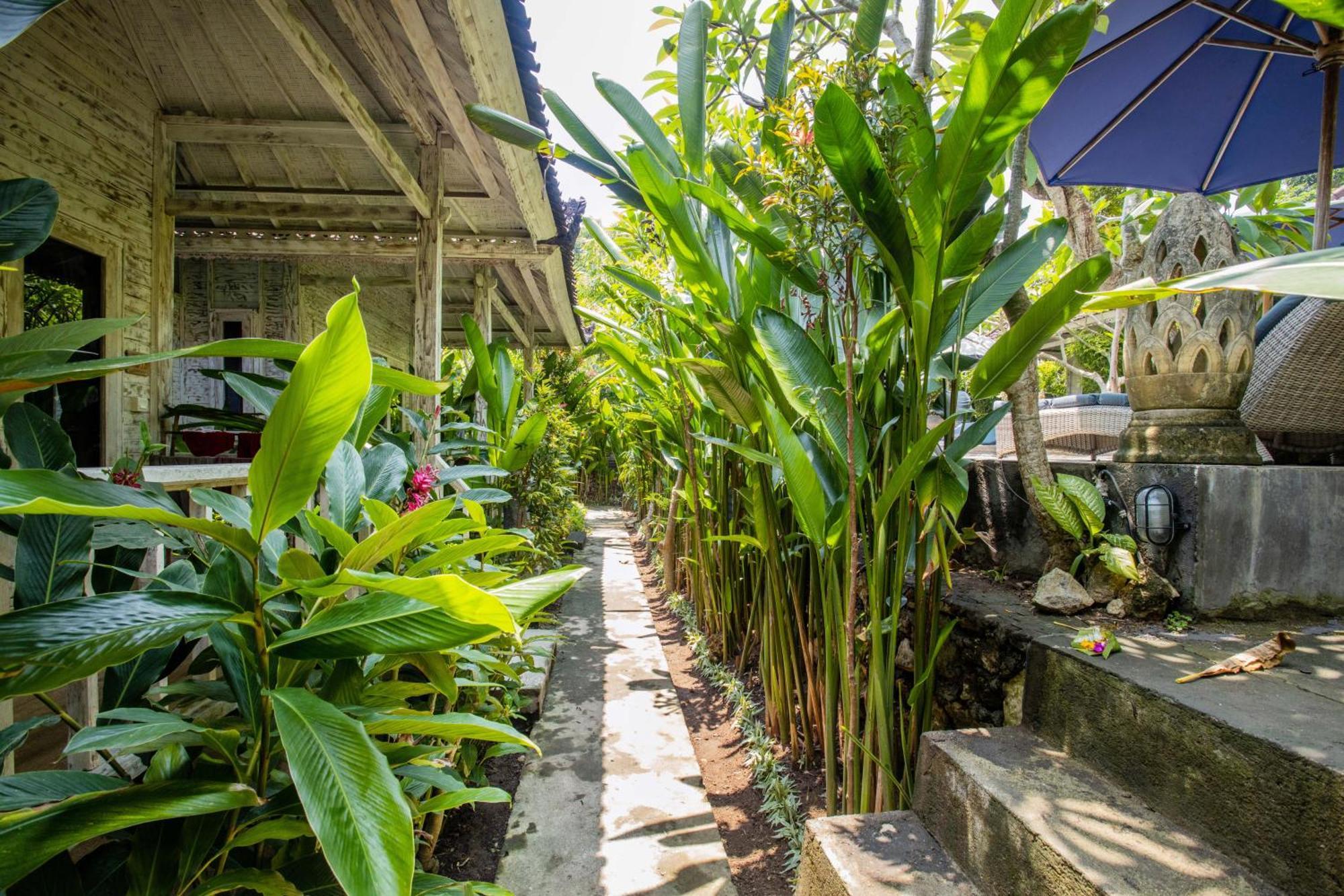 221 Garden Cottages Nusa Lembongan Extérieur photo
